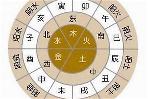 乙卯月 五行|乙卯年五行属性 乙卯年生人命运